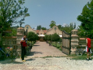 Slika(1210)