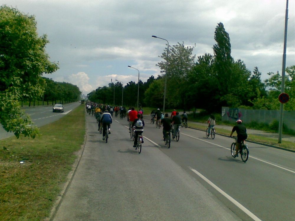 Slika(983)