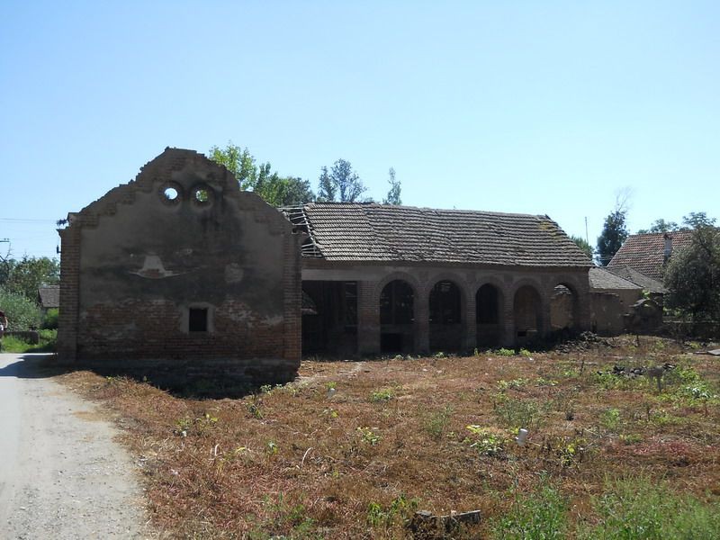Salinacki lug - 21