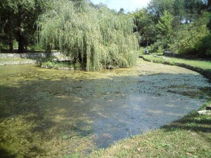 topcidersko jezero