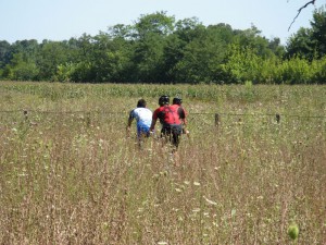 IMG_0698