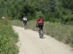 IMG_0717