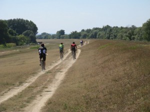 IMG_0721