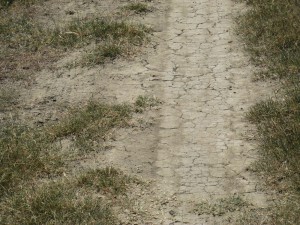 IMG_0724