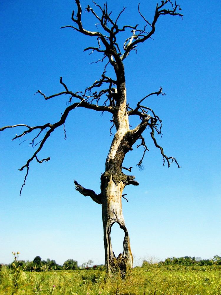 Copy of 059
