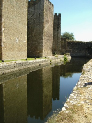 Copy of Picture 021