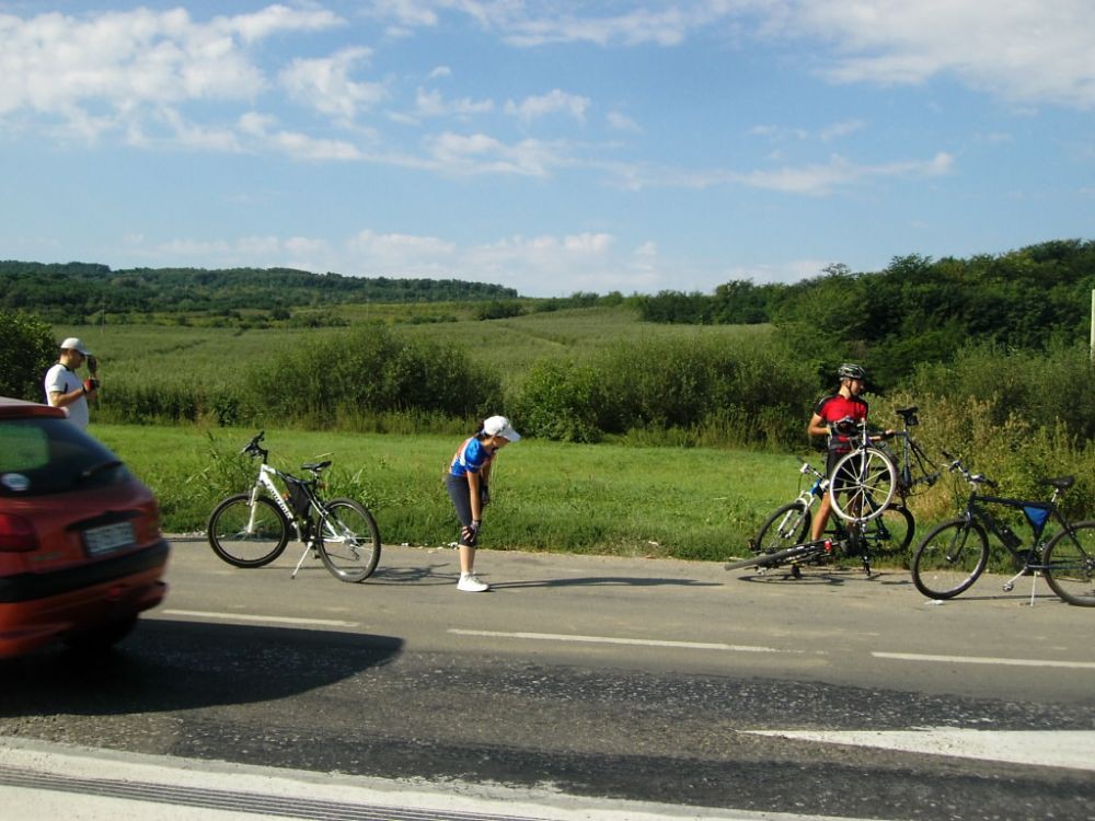 Picture 006