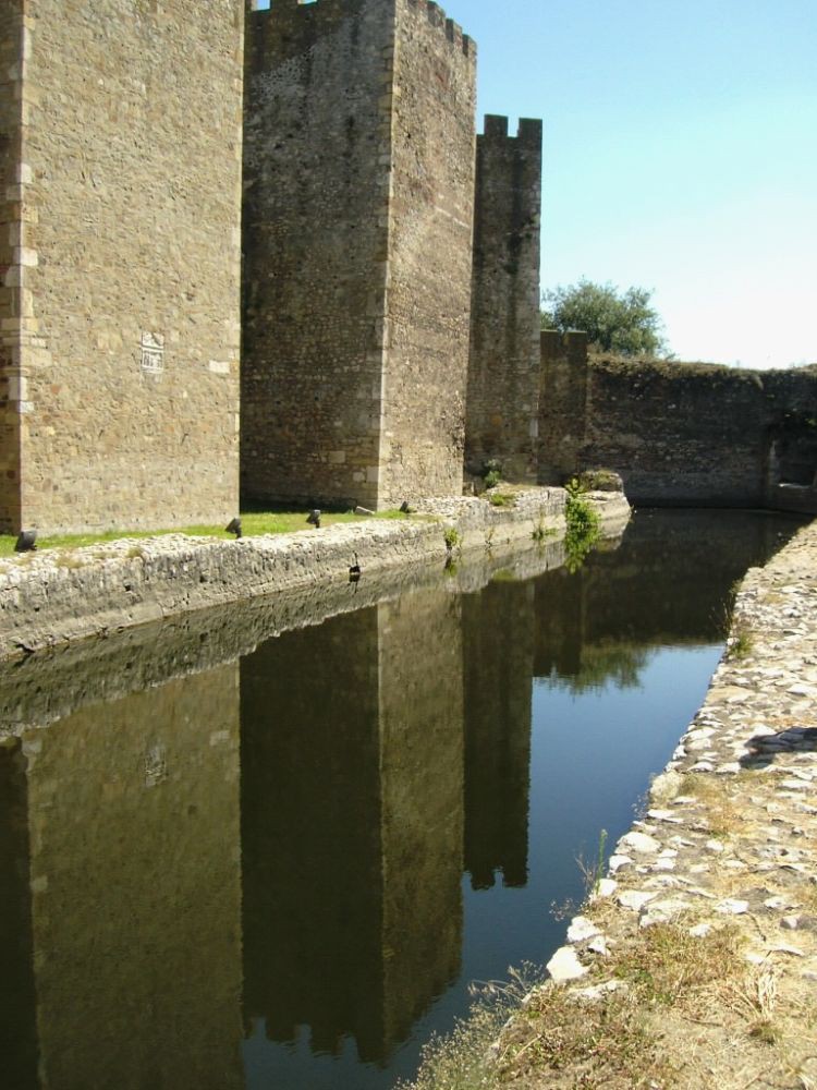 Picture 021