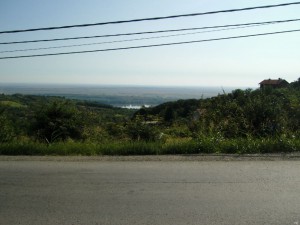 Picture 011