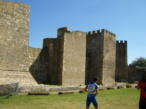 Picture 015