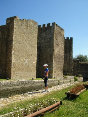 Picture 020