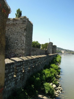 Picture 028