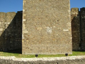 Picture 034