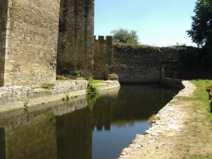 Picture 038