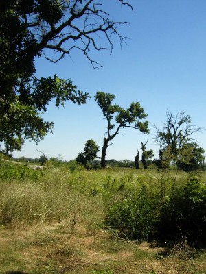 Picture 053