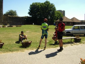 Picture 042
