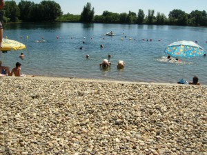 Picture 047