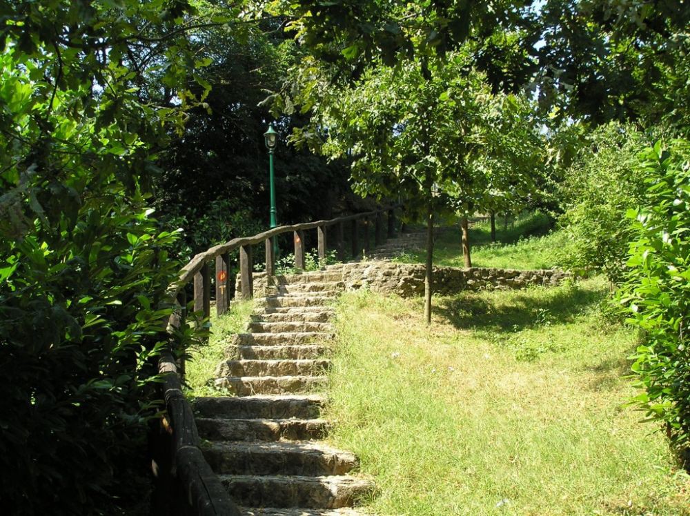 Maricevica jaruga - 7