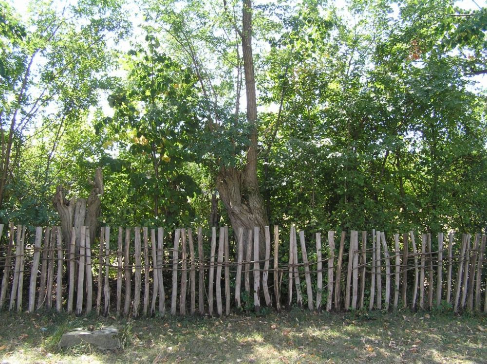 Maricevica jaruga - 10