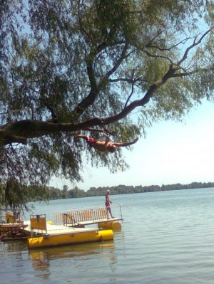 tarzan plaza 1
