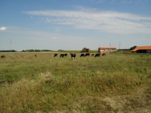 Voznja 04.09