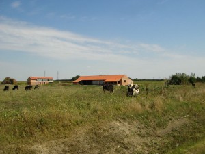 Voznja 04.09