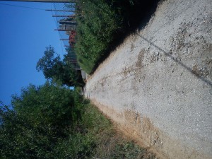 DSC00363