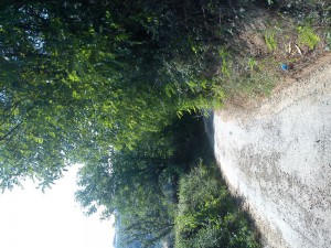 Petrino brdo 1