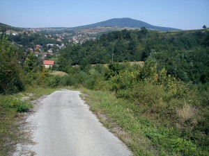Petrino brdo 8