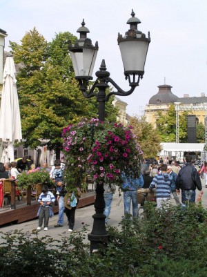 Sremski Karlovci - 3