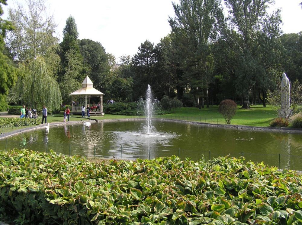 Novi Sad - 8