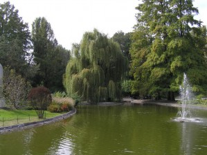 Novi Sad - 14