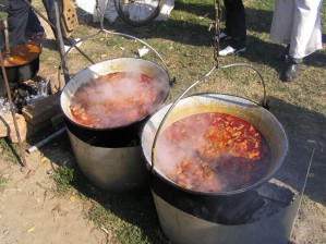 Skorenovac - 25
