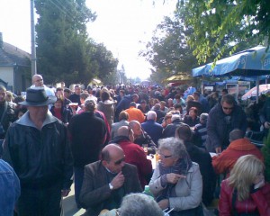 Skorenovac 09.10
