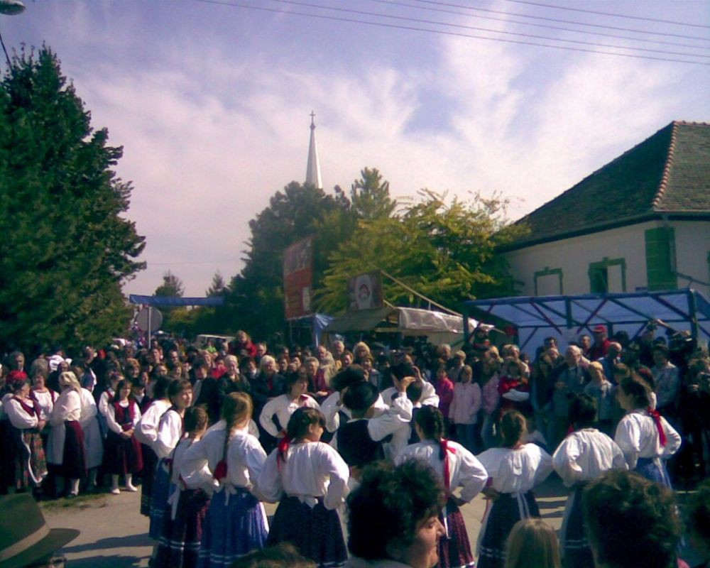 skoreNovac 2010 (6)