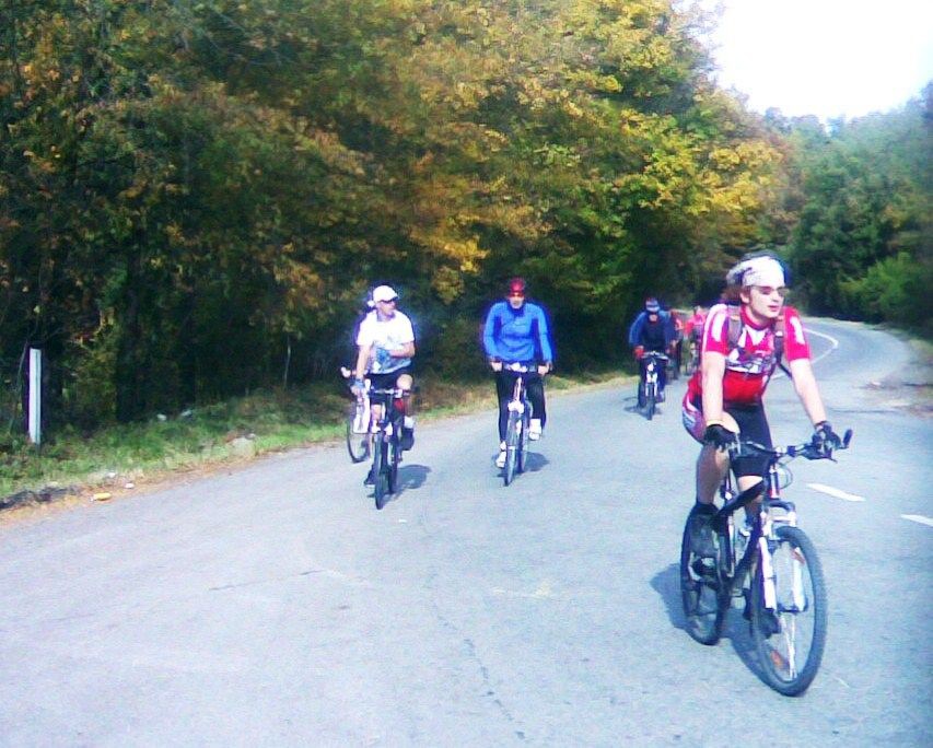 avala2010 a (8)