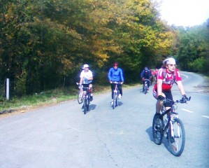 avala2010 a (8)