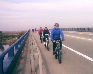 avala2010 a (9)
