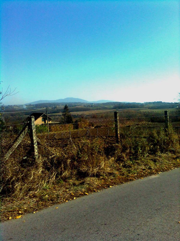 Slika0725