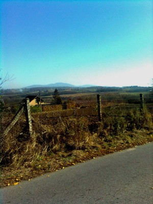 Slika0725