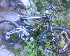 carbon-scott-Pelister