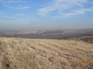 In the middle of nowhere - 2