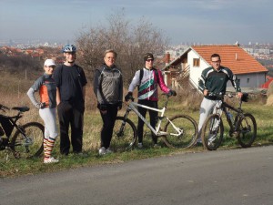 Titov_gaj_1037