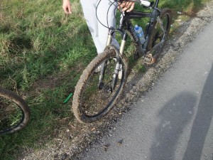 Titov_gaj_1040