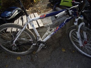 last disney-durmitor ride 317
