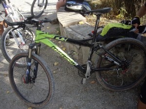 last disney-durmitor ride 320
