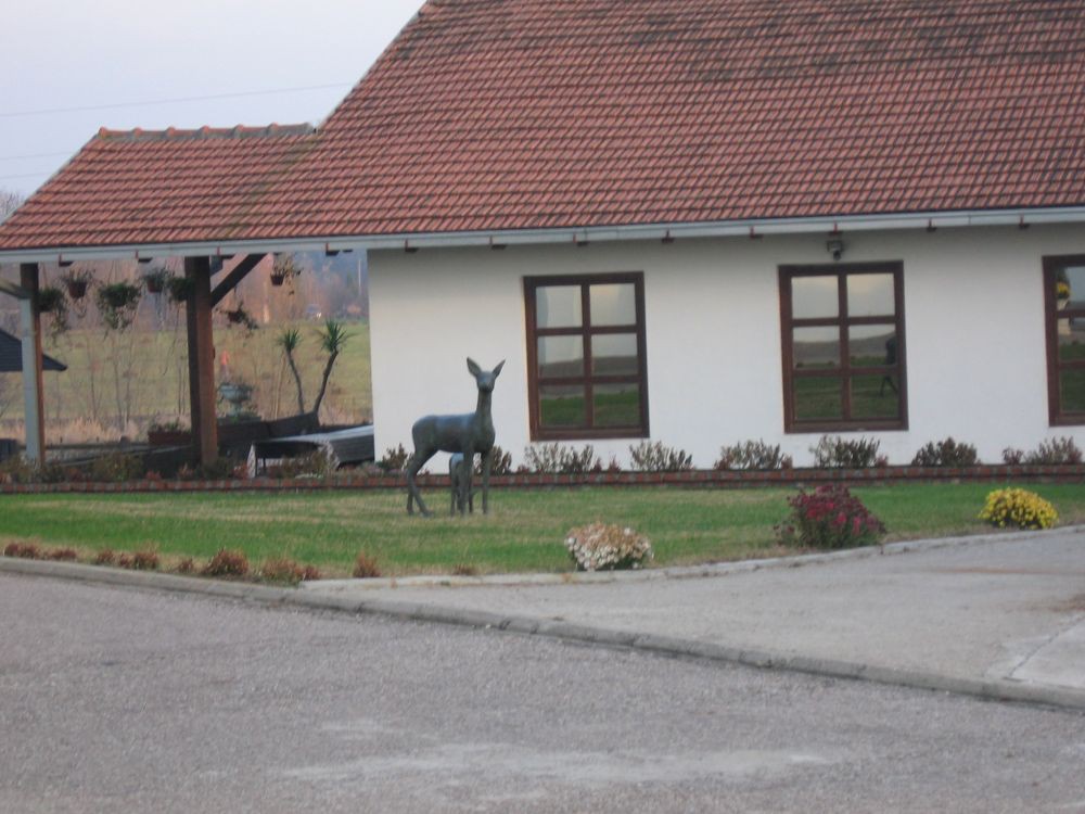 Crkva Urovci 7 Nov 2010 008