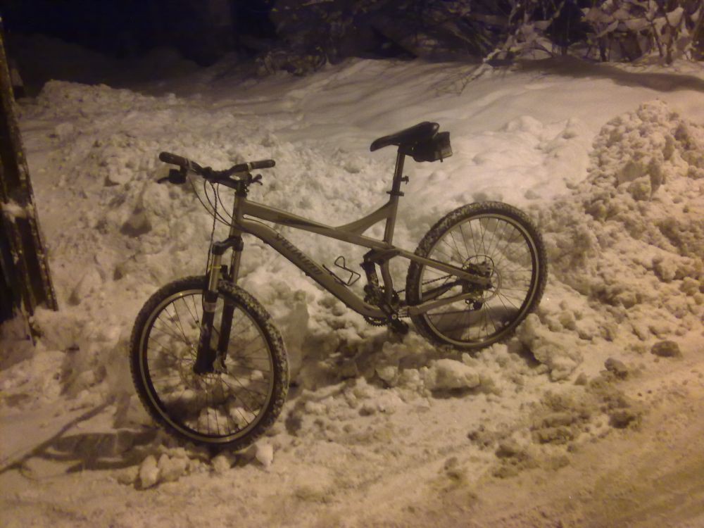 prosao snow test
