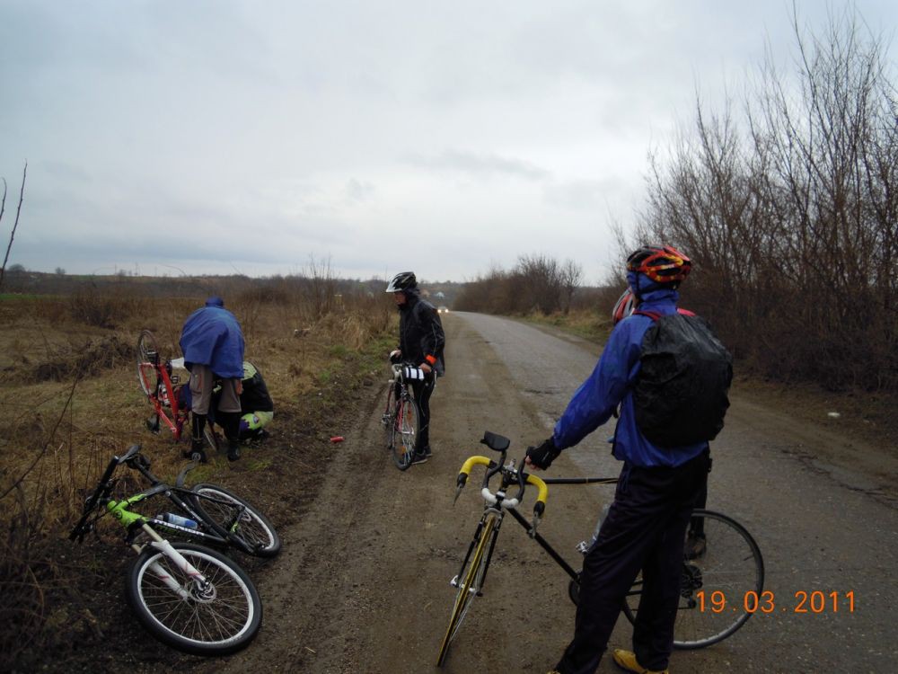DSCN1454 11-03-19_1181