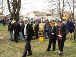 Bg-Sakule 26.03
